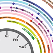 Årshjul för SV Norrbotten